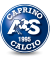 logo Verdello